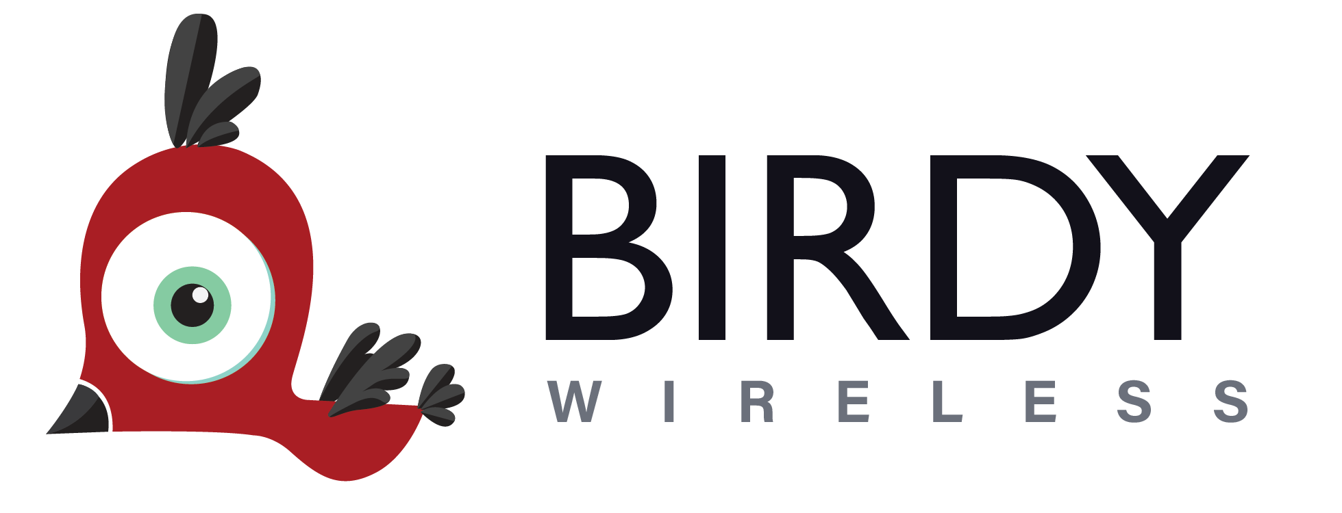 Birdy Wireless Logo
